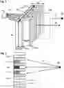 Fig. 02 - Directional array with alternating short and long detectors