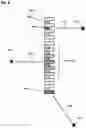 Fig. 09 - Directional array with alternating short and long detectors