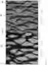 Fig. 03 - Optically variable film, apparatus and method for making the same
