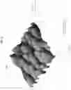 Fig. 04 - Optically variable film, apparatus and method for making the same