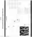 Fig. 06 - Optically variable film, apparatus and method for making the same