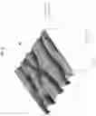Fig. 09 - Optically variable film, apparatus and method for making the same