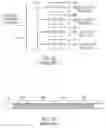 Fig. 03 - LED-based light fixture