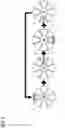 Fig. 06 - OPTICAL FIBER CABLE