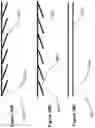 Fig. 52 - Optical configurations for head-worn see-through displays