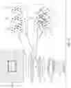 Fig. 03 - Generating structured light
