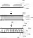 Fig. 01 - Method for manufacturing optical device by varying rubbing strength