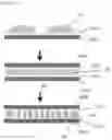 Fig. 02 - Method for manufacturing optical device by varying rubbing strength