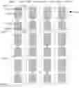 Fig. 01 - Array substrate, display panel and display device