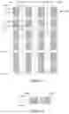 Fig. 02 - Array substrate, display panel and display device