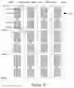 Fig. 04 - Array substrate, display panel and display device