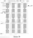 Fig. 05 - Array substrate, display panel and display device