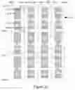 Fig. 07 - Array substrate, display panel and display device