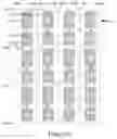 Fig. 10 - Array substrate, display panel and display device