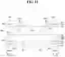 Fig. 12 - Display device
