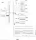 Fig. 11 - Picture compensation method and apparatus, display device and non-transitory computer-readable storage medium