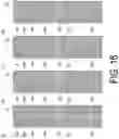 Fig. 17 - LIQUID CRYSTAL DISPLAY PANEL, METHOD FOR MANUFACTURING LIQUID CRYSTAL DISPLAY PANEL, AND PHOTO-ALIGNMENT PROCESSING DEVICE