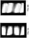Fig. 13 - Pixel structure and driving method capable of switching display mode
