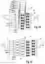 Fig. 06 - High frequency optical switch and fabrication methods thereof
