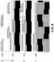 Fig. 07 - Image forming apparatus