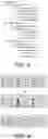 Fig. 04 - Information processing device, information processing method and non-transitory computer-readable storage medium for synchronizing edited content of control programs