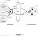 Fig. 13 - Geocoding data for an automated vehicle