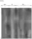 Fig. 10 - Display device