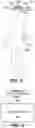 Fig. 04 - Massive simultaneous remote digital presence world