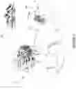 Fig. 04 - Gaze detection interlock feature for touch screen devices