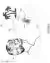Fig. 05 - Gaze detection interlock feature for touch screen devices