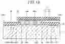 Fig. 19 - Detection apparatus and display apparatus