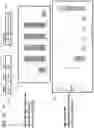 Fig. 21 - Graphical user interface for insights on viewing of media content