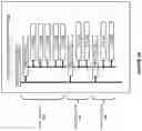 Fig. 06 - Enhanced management of storage repository availability in a virtual environment