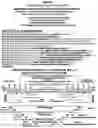 Fig. 166 - Natural language, flat field, record management and file system that defines, integrates and operates records comprising best practices and establishes collaborative peer networks to evolve new best practice records