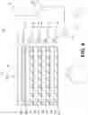 Fig. 05 - Periocular and audio synthesis of a full face image