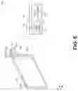 Fig. 07 - Periocular and audio synthesis of a full face image