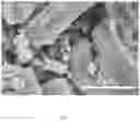 Fig. 02 - Selenium-doped MXene material, and preparation method and use thereof