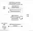 Fig. 01 - Privacy preserving biometric authentication