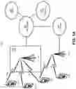 Fig. 02 - Terminal requesting network slice capabilites from non-3GPP access network