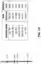 Fig. 02 - Markers associated with soybean rust resistance and methods of use therefor