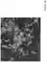 Fig. 05 - Inhalable particles