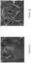 Fig. 09 - Inhalable particles