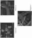 Fig. 10 - Inhalable particles