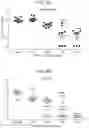 Fig. 08 - Antimicrobial peptides and methods of using the same