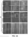 Fig. 09 - COMPOSITIONS AND METHODS FOR TREATING MYELIN DISORDERS