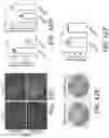 Fig. 27 - COMPOSITIONS AND METHODS FOR TREATING MYELIN DISORDERS