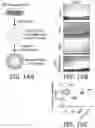 Fig. 33 - COMPOSITIONS AND METHODS FOR TREATING MYELIN DISORDERS
