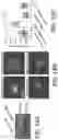 Fig. 38 - COMPOSITIONS AND METHODS FOR TREATING MYELIN DISORDERS