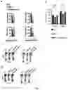 Fig. 03 - TREATMENT OF BONE GROWTH DISORDERS