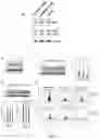 Fig. 05 - TREATMENT OF BONE GROWTH DISORDERS